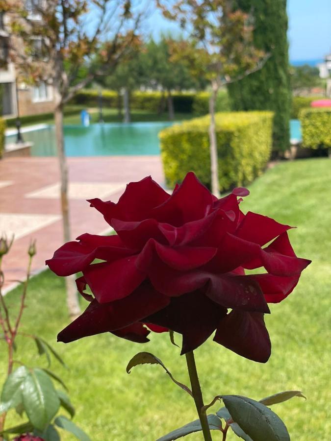 Provence Deluxe Apartment In Atia Resort Черноморець Екстер'єр фото