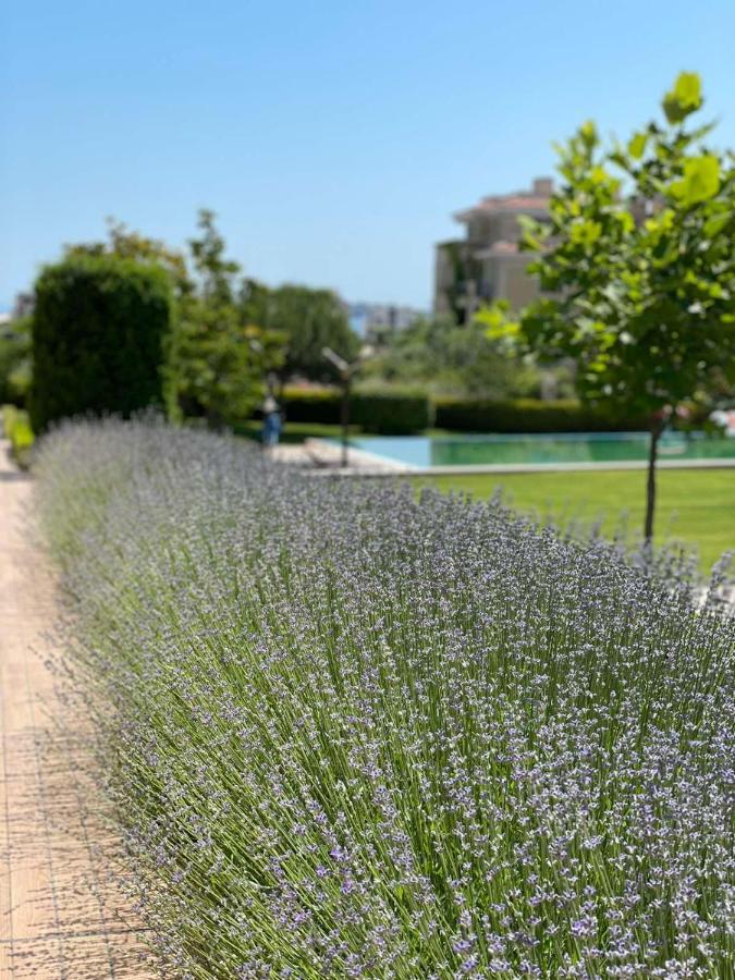 Provence Deluxe Apartment In Atia Resort Черноморець Екстер'єр фото